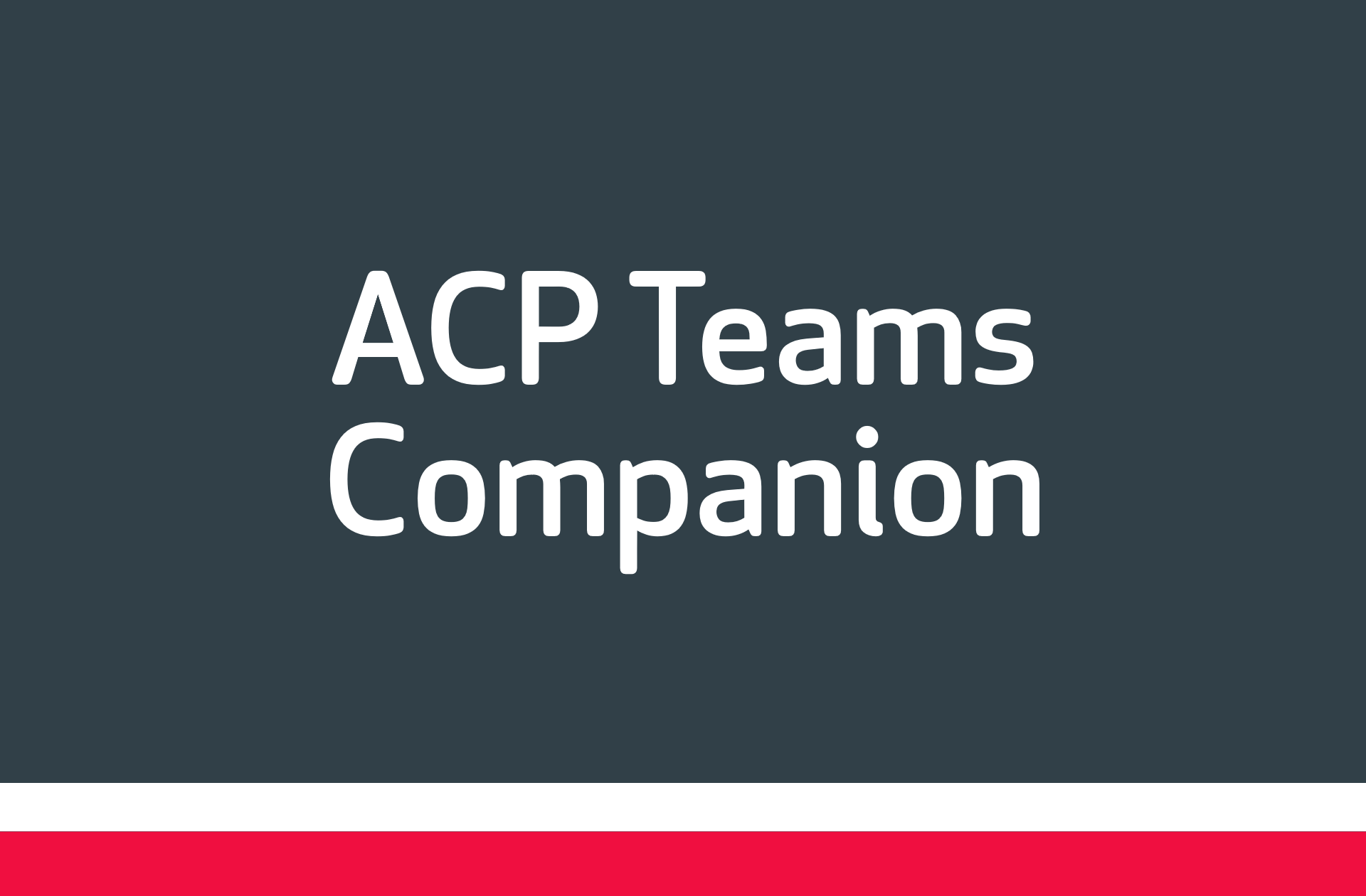 ACP-Gruppe_Leistungen_ACP-Teams-Companion