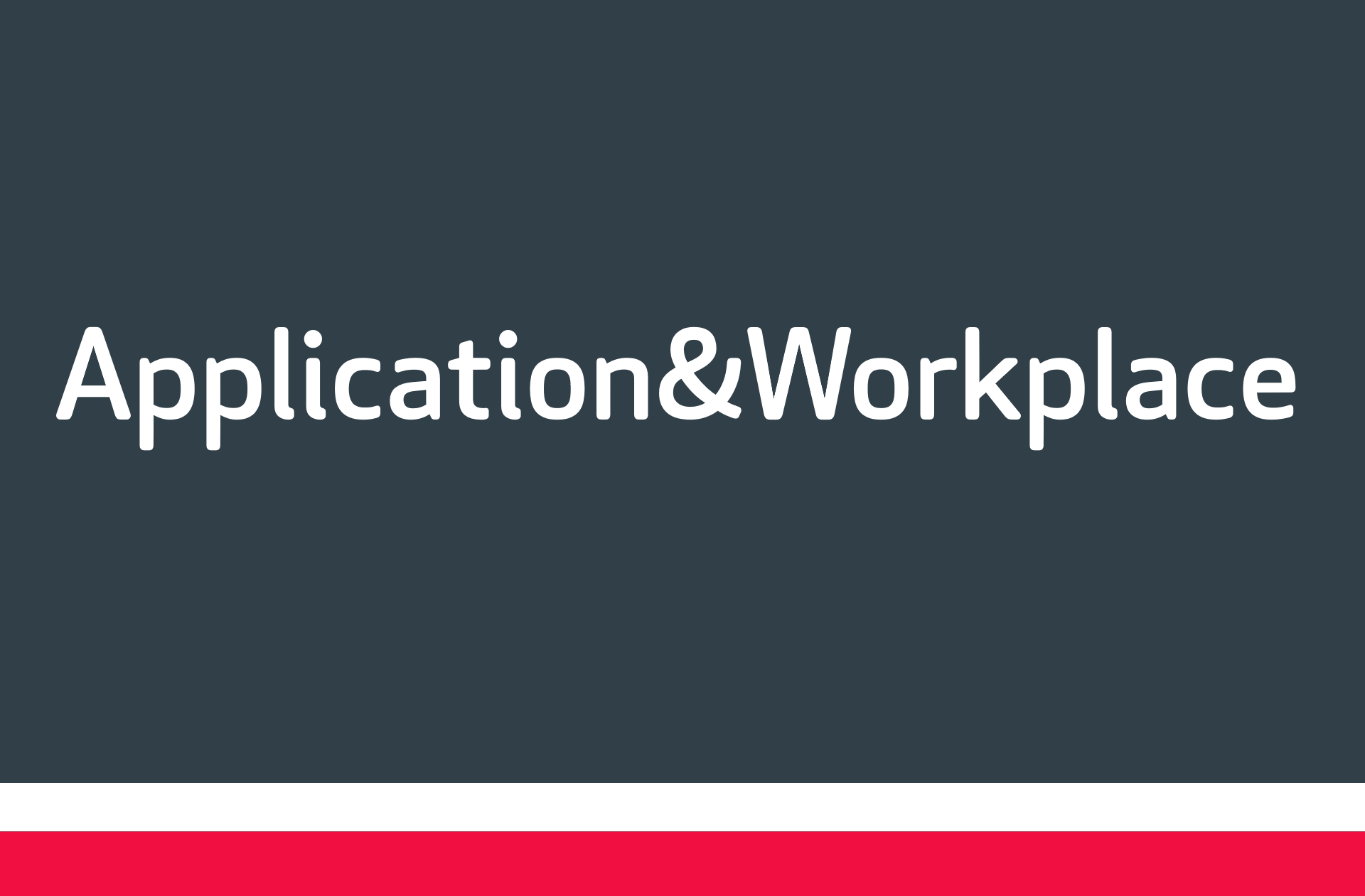 ACP-Gruppe_Leistungen_Application&Workplace