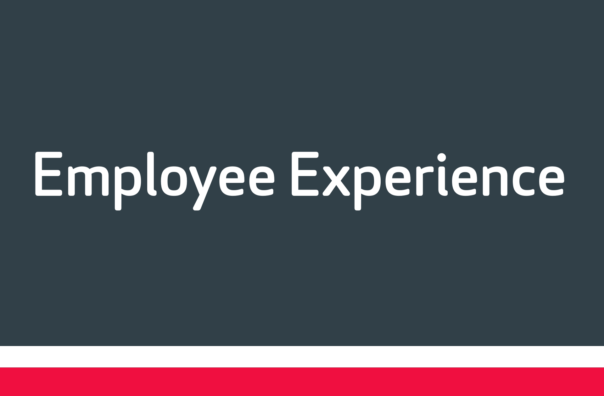 ACP-Gruppe_Leistungen_Employee Experience