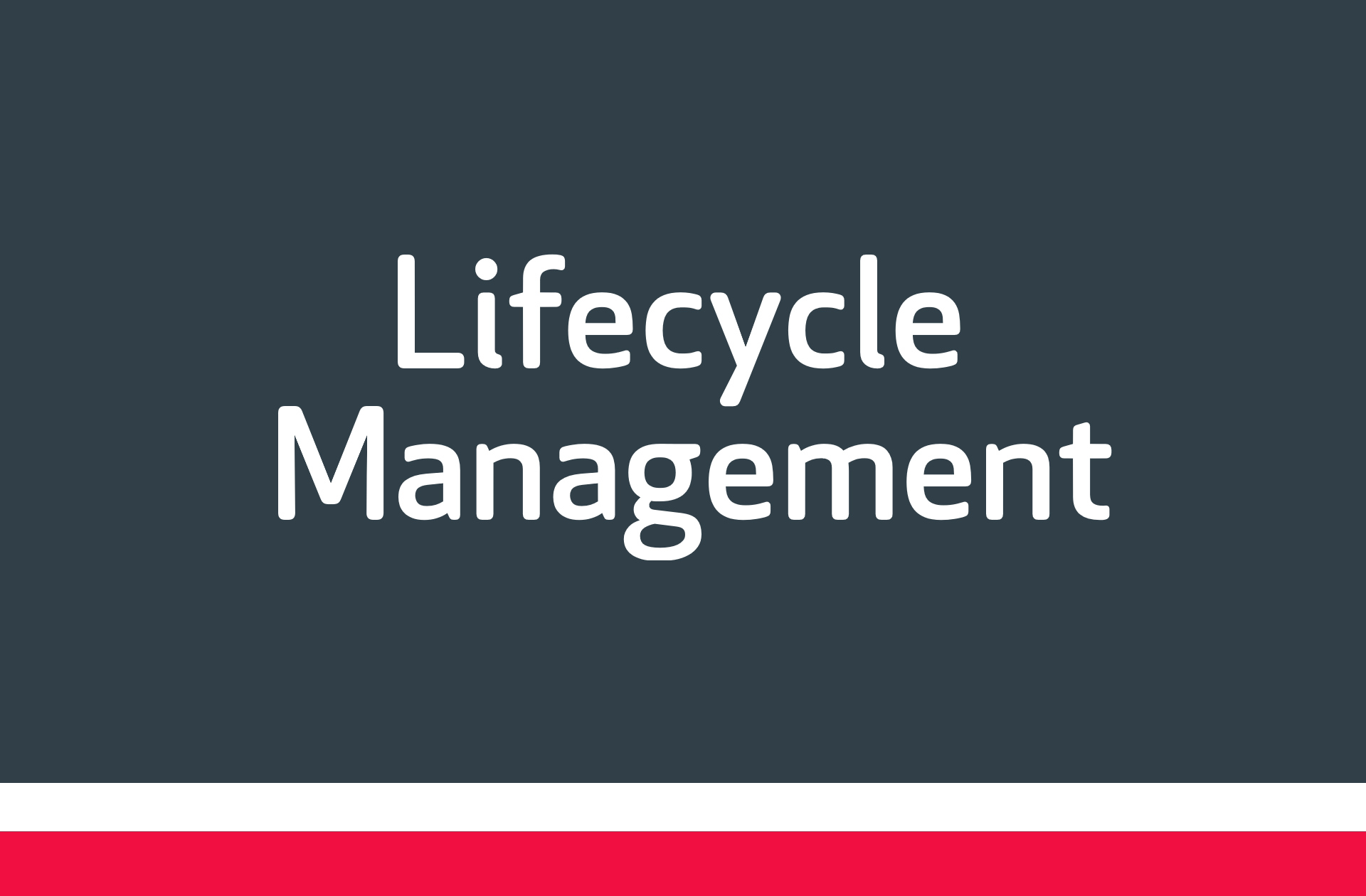 ACP-Gruppe_Leistungen_Lifecycle-Management