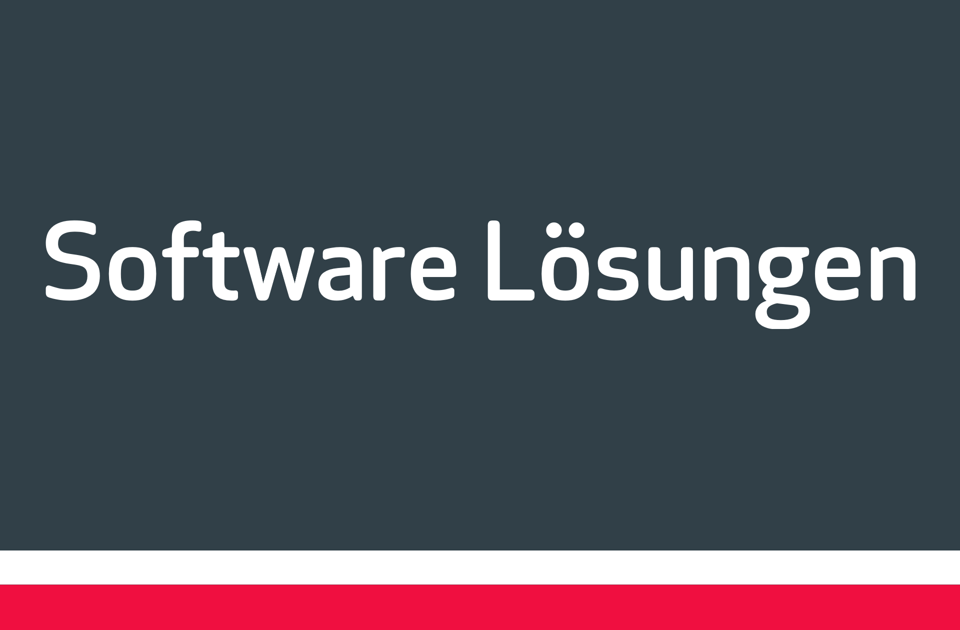 ACP-Gruppe_Leistungen_Software-Loesungen