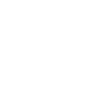 ACP Icon - Flexibel