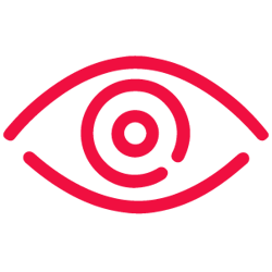 ACP Icon | Eye