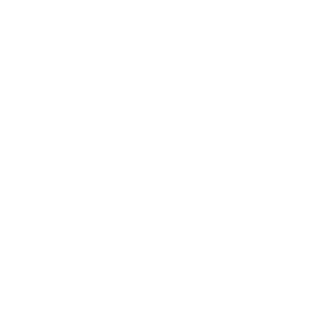 ACP Icon - Nummer 1