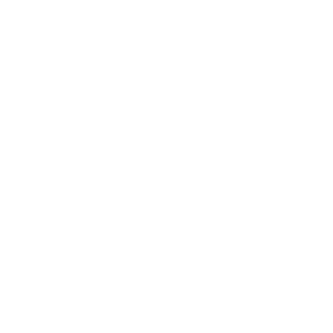 ACP Icon - Nummer 3