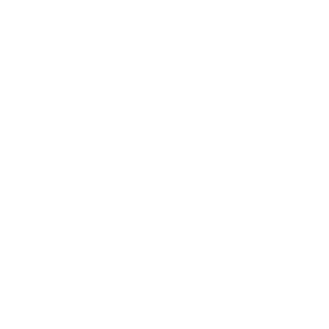 acp_laptop-dg-300_white