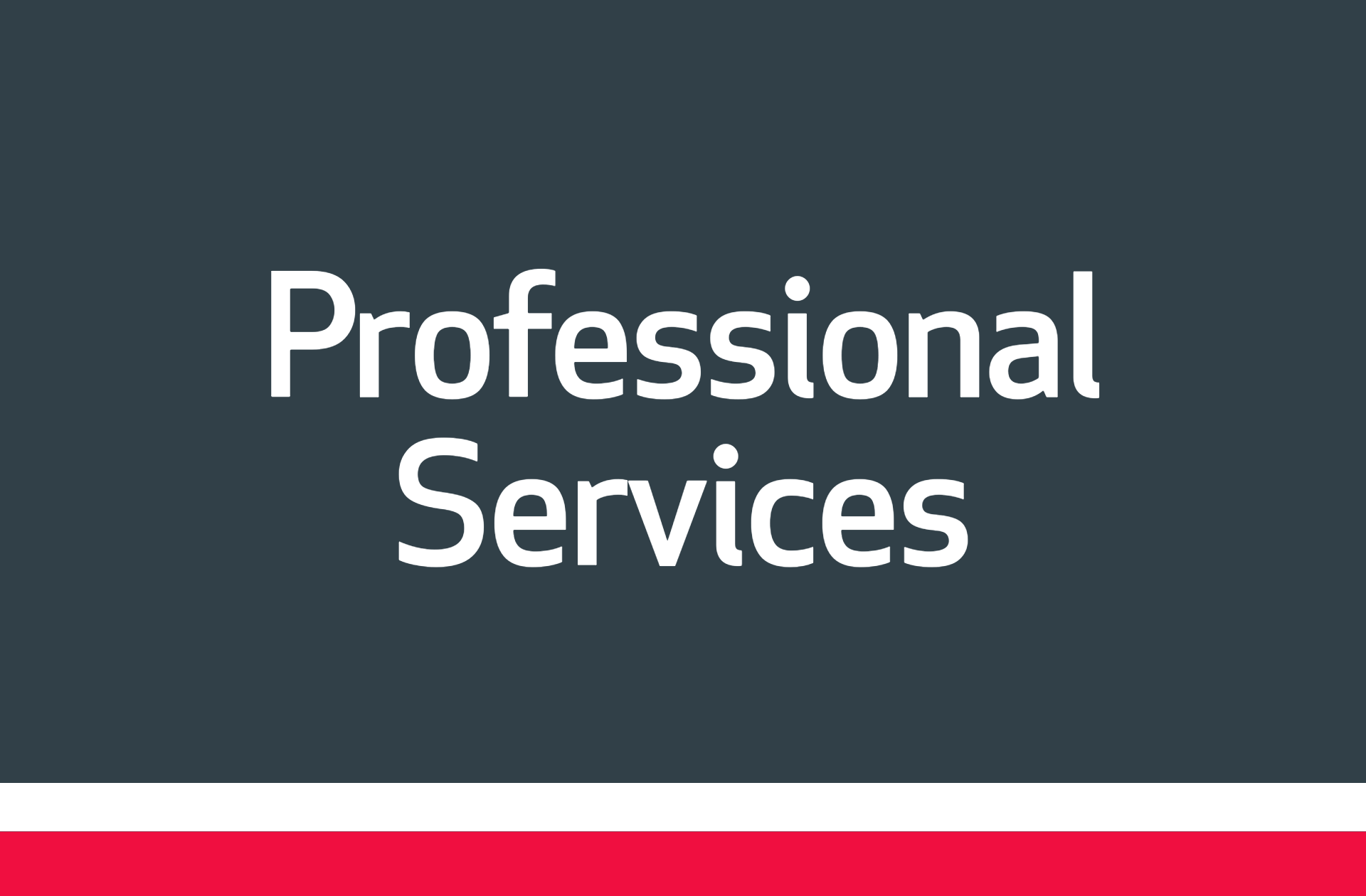 ACP-Gruppe_Leistungen_ProfessionalService