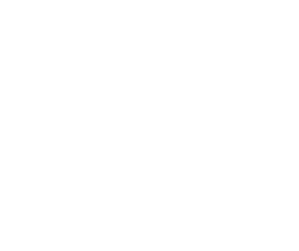 Icon vom SOC Austria by ACP