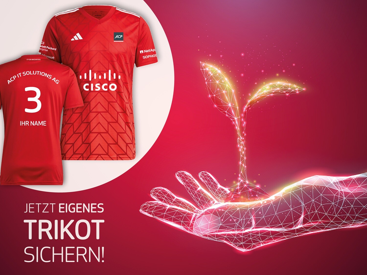 Bild Landingpage Trikot