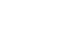 BrainShare Logo neu-Rhein-Main
