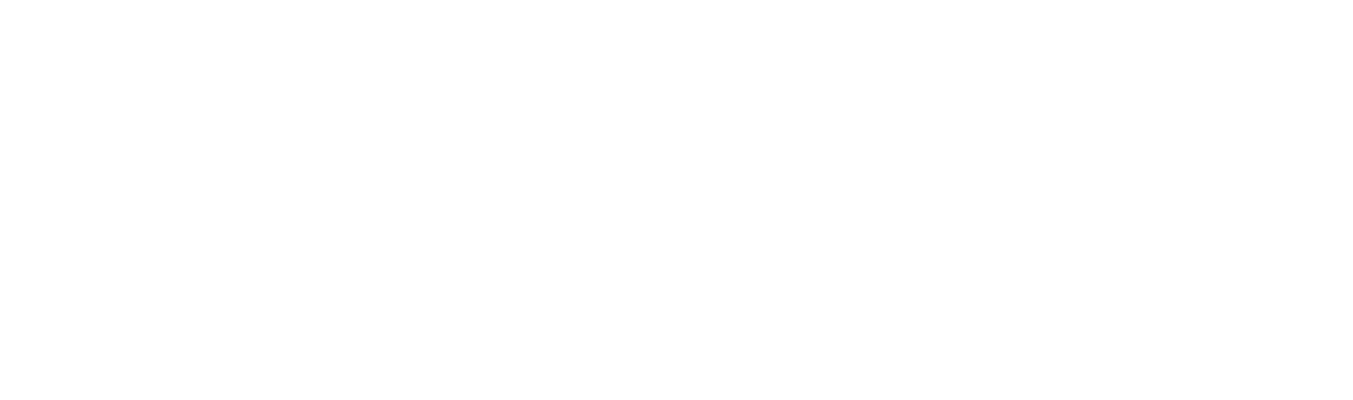 DCSO_Logo_RZ_white_RGB