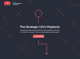 Cover The Strategic CIO´s Playbook