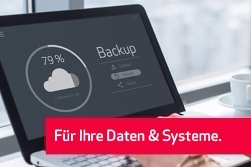 ACP_ManS_Produktseite_Backup_mit-Stoerer_500x333px