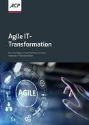 Whitepaper | Agile IT-Transformation