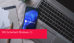 Header Webinar Win 11-Sicherheit