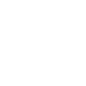 Server