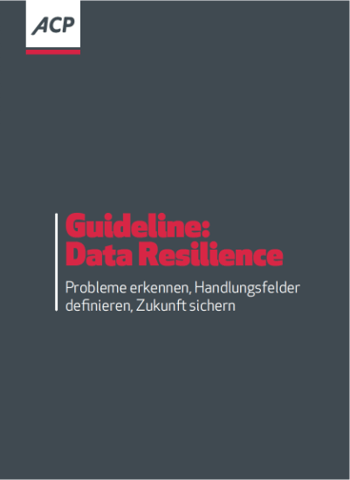 Guideline: Data Resilience | Jetzt Whiterpaper herunterladen