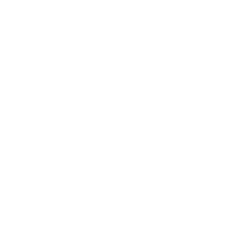 ACP Icon | Video