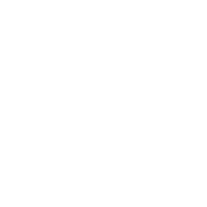 ACP Icon - Nummer 4