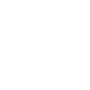 ACP Icon - Workshop
