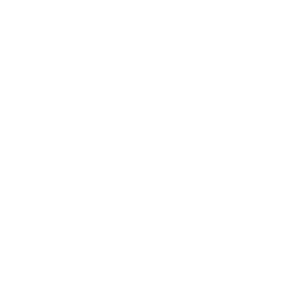 Icon | Kochhaube