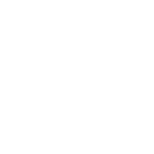 Icon Earth