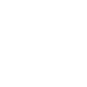 Icon Learning