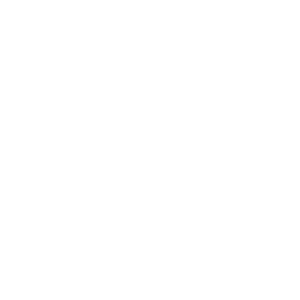 ACP Icon | PS 5 Controller