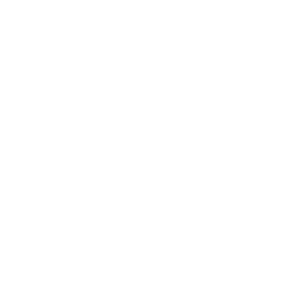 Laptop Icon | ACP - IT for innovators.