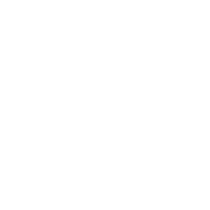 acp_on-premises-w-300-2