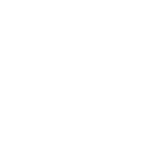 Icon | Stern