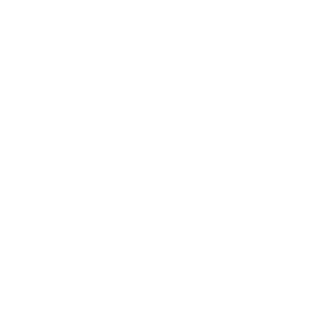 Icon | Geschenk
