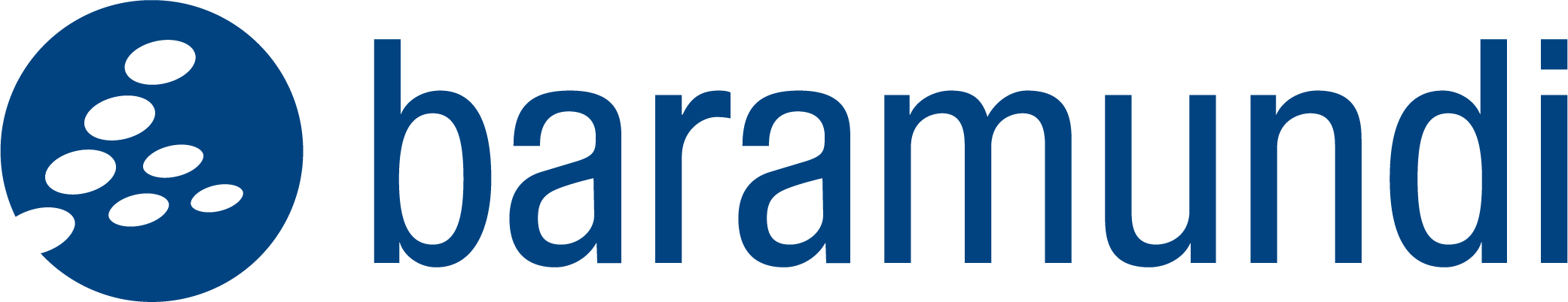 baramundi_Logo_RGB_final-1