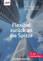 e-book OPEX-finanzierter Arbeitsplatz durch pay-per use Lizenzierung