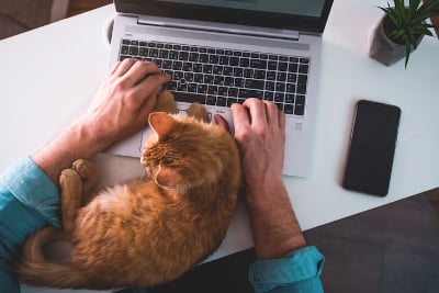 Whitepaper: Remote Working