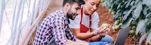 Frau und Mann arbeiten in Landwirtschaft mit nachhaltiger IT.