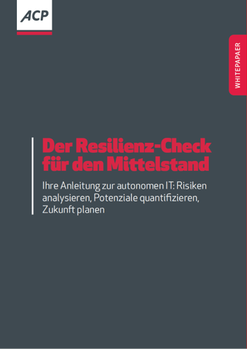 Leitfaden: Der Resilienz-Check für den Mittelstand