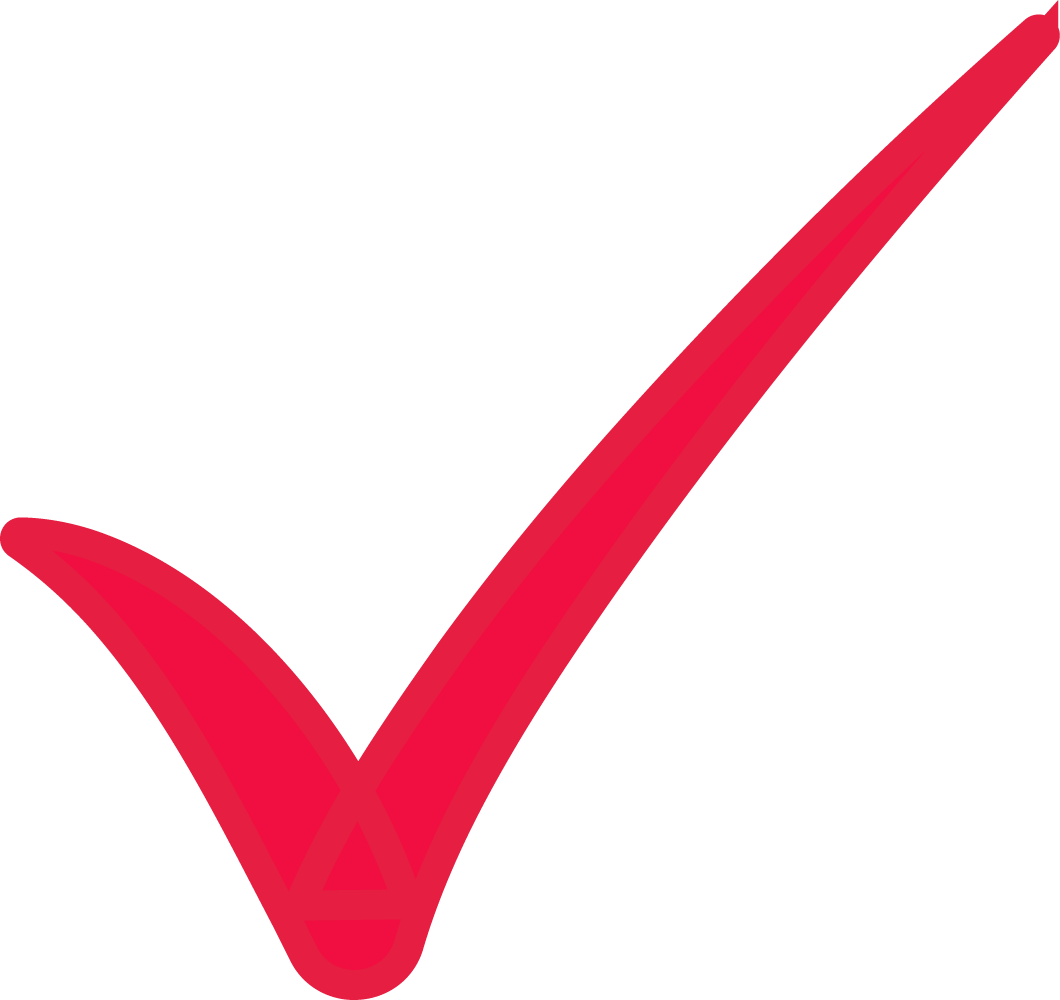 ACP Icon - Sicherheit