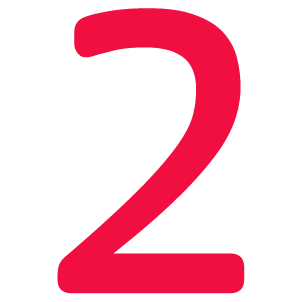 ACP Icon - 2