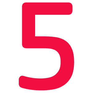 ACP Icon - 5