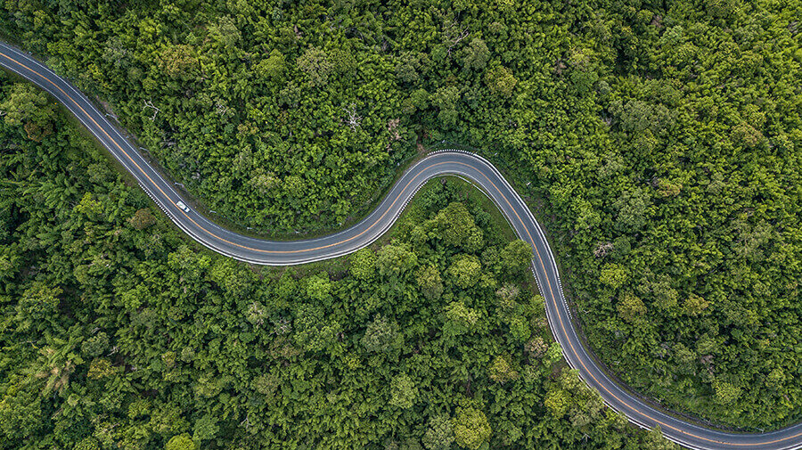 straße_road_wald_natur