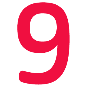 ACP Icon - 9
